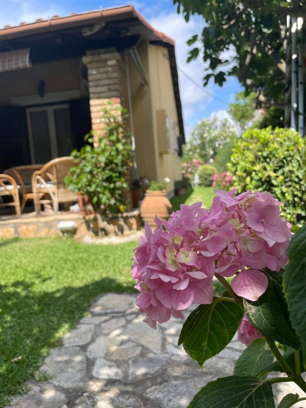 Villa Tina Country Beach Apartments Acharavi  Room photo